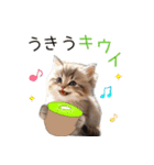 毎日猫⭐︎食べ物ダジャレ（個別スタンプ：19）