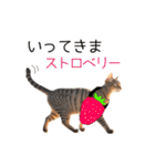 毎日猫⭐︎食べ物ダジャレ（個別スタンプ：21）