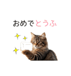 毎日猫⭐︎食べ物ダジャレ（個別スタンプ：24）