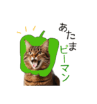 毎日猫⭐︎食べ物ダジャレ（個別スタンプ：28）