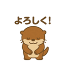 コツメカワウソのいる日常（個別スタンプ：4）
