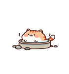 お風呂猫「やだ！」,（個別スタンプ：29）