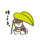 6月のおまるちゃん（個別スタンプ：14）