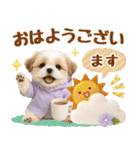 大人可愛いシーズーで梅雨の気づかい敬語（個別スタンプ：1）
