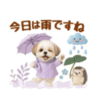 大人可愛いシーズーで梅雨の気づかい敬語（個別スタンプ：5）