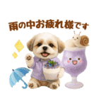 大人可愛いシーズーで梅雨の気づかい敬語（個別スタンプ：7）