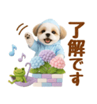 大人可愛いシーズーで梅雨の気づかい敬語（個別スタンプ：10）