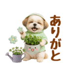 大人可愛いシーズーで梅雨の気づかい敬語（個別スタンプ：17）