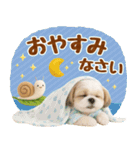 大人可愛いシーズーで梅雨の気づかい敬語（個別スタンプ：20）