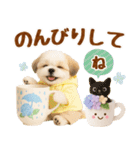 大人可愛いシーズーで梅雨の気づかい敬語（個別スタンプ：24）