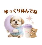 大人可愛いシーズーで梅雨の気づかい敬語（個別スタンプ：25）