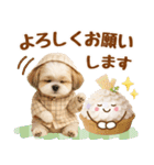 大人可愛いシーズーで梅雨の気づかい敬語（個別スタンプ：27）
