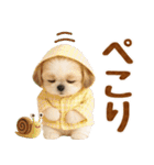大人可愛いシーズーで梅雨の気づかい敬語（個別スタンプ：32）