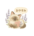 水彩ねこ＊季節の花スタンプ（個別スタンプ：6）