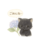 水彩ねこ＊季節の花スタンプ（個別スタンプ：13）