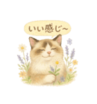 水彩ねこ＊季節の花スタンプ（個別スタンプ：36）