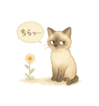 水彩ねこ＊季節の花スタンプ（個別スタンプ：39）