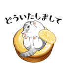 パンxにゃん（個別スタンプ：3）