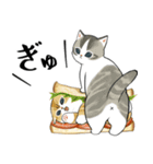 パンxにゃん（個別スタンプ：29）
