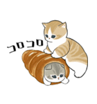 パンxにゃん（個別スタンプ：39）