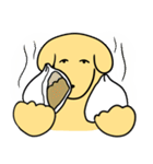 ぬんたん(いぬ) 13 -食べ放題-（個別スタンプ：34）