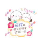 年末年始❤️ふわもちシマエナガ④❤️再販（個別スタンプ：12）