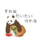 だいたいパンダ【敬語】（個別スタンプ：16）