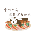 だいたいパンダ【敬語】（個別スタンプ：31）