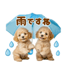 梅雨初夏♡といぷー（個別スタンプ：1）