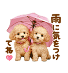 梅雨初夏♡といぷー（個別スタンプ：3）