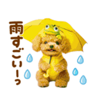 梅雨初夏♡といぷー（個別スタンプ：5）