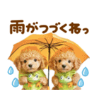 梅雨初夏♡といぷー（個別スタンプ：6）