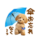 梅雨初夏♡といぷー（個別スタンプ：7）