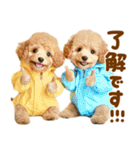 梅雨初夏♡といぷー（個別スタンプ：15）