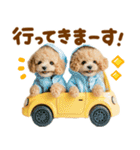 梅雨初夏♡といぷー（個別スタンプ：17）