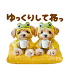 梅雨初夏♡といぷー（個別スタンプ：26）
