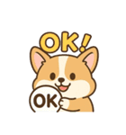ころころコーギースタンプ（個別スタンプ：4）