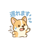 ころころコーギースタンプ（個別スタンプ：5）