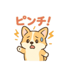 ころころコーギースタンプ（個別スタンプ：8）