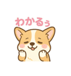 ころころコーギースタンプ（個別スタンプ：11）