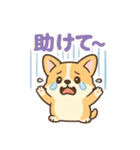 ころころコーギースタンプ（個別スタンプ：14）