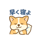 ころころコーギースタンプ（個別スタンプ：15）