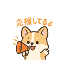 ころころコーギースタンプ（個別スタンプ：16）