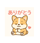 ころころコーギースタンプ（個別スタンプ：17）