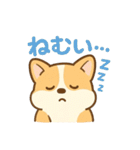 ころころコーギースタンプ（個別スタンプ：19）