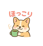 ころころコーギースタンプ（個別スタンプ：22）