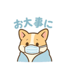 ころころコーギースタンプ（個別スタンプ：23）
