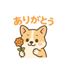 ころころコーギースタンプ（個別スタンプ：24）