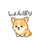 ころころコーギースタンプ（個別スタンプ：32）