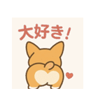 ころころコーギースタンプ（個別スタンプ：35）
